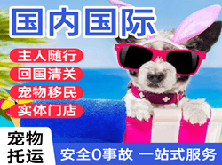 宝安机场邮寄国际宠物托运 【国